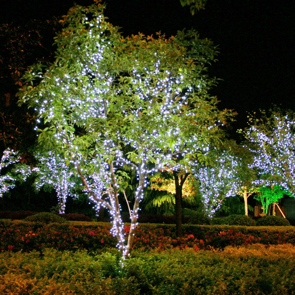 LOW-V Flash Lightchain