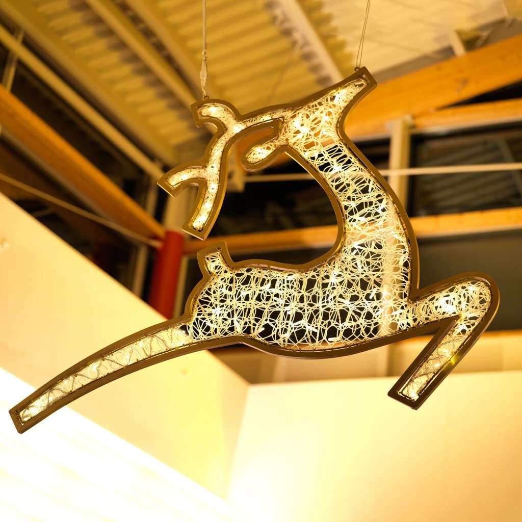 Waterloo Reindeer 2D