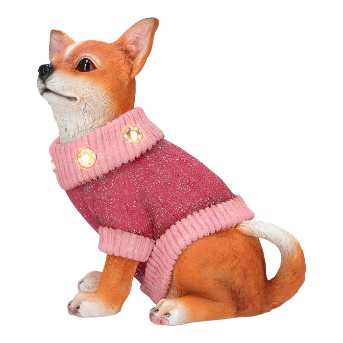Dog with sweater poly