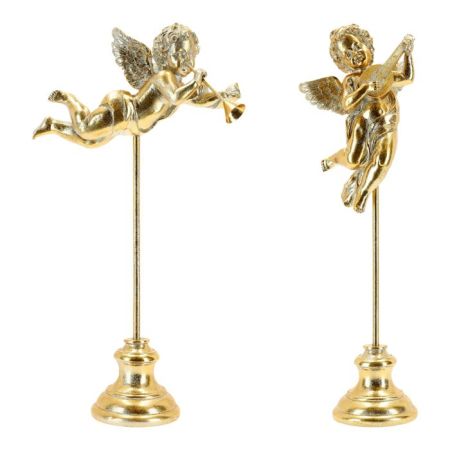 Angel 2ass poly